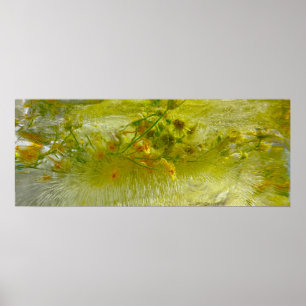 Eisblüten, Poster