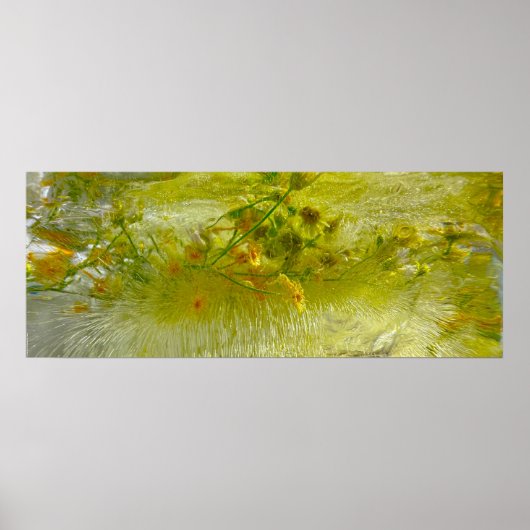 Eisblüten, Poster (Vorne)