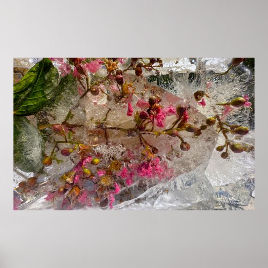 Eisblüten, Poster (Vorne)