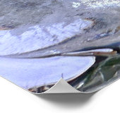 Eisblüten, Poster (Ecke)