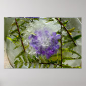 Eisblüten, poster (Vorne)