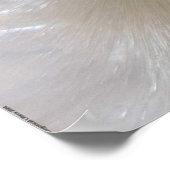Eisblüten, Poster (Ecke)