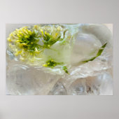 Eisblüten, Poster (Vorne)
