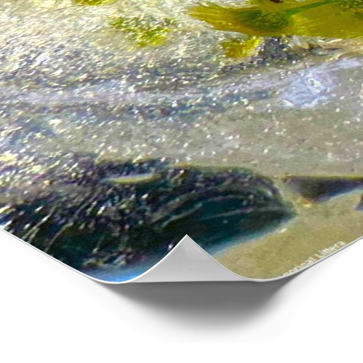 Eisblüten, Poster (Ecke)