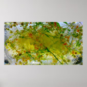 Eisblüten, Poster (Vorne)