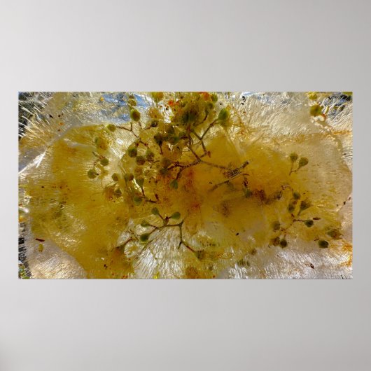 Eisblüten, Poster (Vorne)