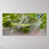 Eisblüten, Poster (Vorne)