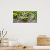 Eisblüten, Poster (Küche)