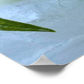 Eisblüten, Poster (Ecke)