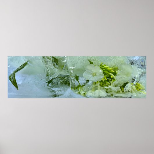 Eisblüten, Poster (Vorne)