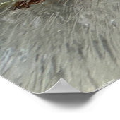 Eisblüten, Poster (Ecke)