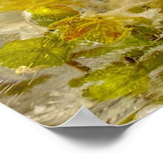 Eisblüten Poster (Ecke)