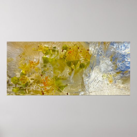 Eisblüten Poster (Vorne)