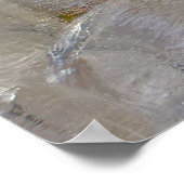 Eisblüten, Poster (Ecke)