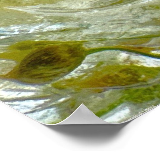 Eisblüten, Poster (Ecke)