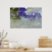 Eisblüten, Poster (Küche)