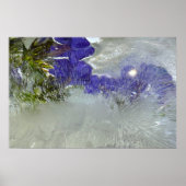 Eisblüten, Poster (Vorne)