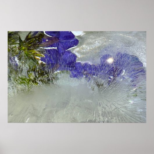 Eisblüten, Poster (Vorne)