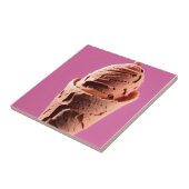 Eiscreme auf Eiskegel pink Fliese (Seite)