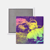 Eiscreme aus Fiberglas Magnet (Vorderseite/Rückseite)