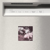 Eiscreme aus Fiberglas Magnet (In Situ (Geschirrspüler))