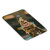 Eiscreme Geburtstagsgeschenk Magnet (Rechte Seite)