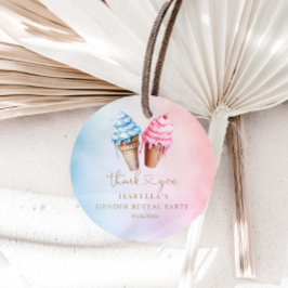 Eiscreme-Gender-Enthüllung Was ist der Schuh? Geschenkanhänger