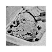 Eiscreme Gummistempel (Prägung)