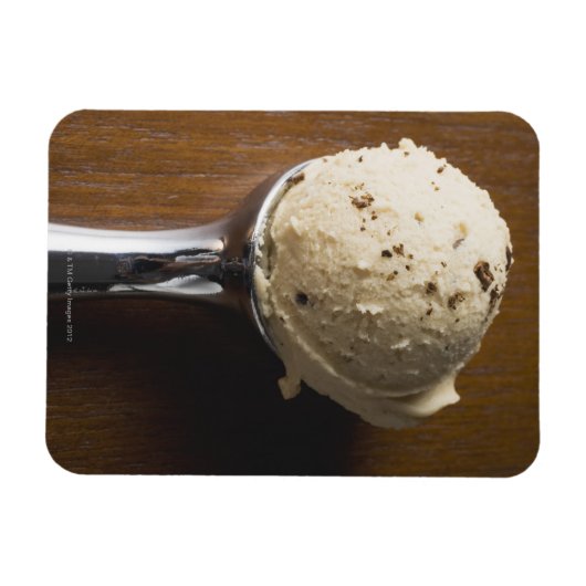 Eiscreme in Eiscreme (Overhead) Magnet (Horizontal)