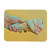 Eiscreme Magnet (Horizontal)