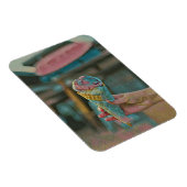 Eiscreme Magnet (Rechte Seite)
