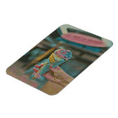 Eiscreme Magnet (Linke Seite)