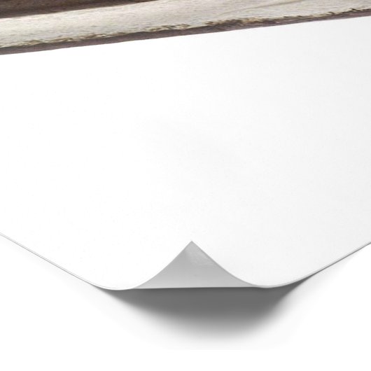 Eiscreme Sandwich Poster (Ecke)