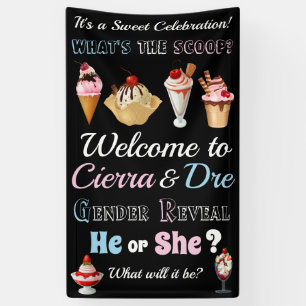 Eiscreme Was ist das Scoop Banner