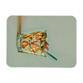 Eiscremeshop Magnet (Horizontal)