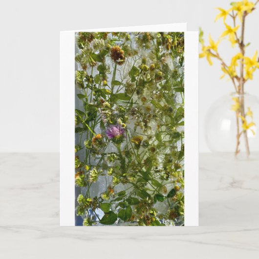 Eisdicken und Kleber, Karte (Gelbe Blume)