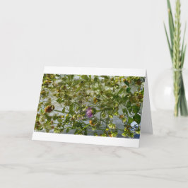 Eisdicken und Kleber, Karte