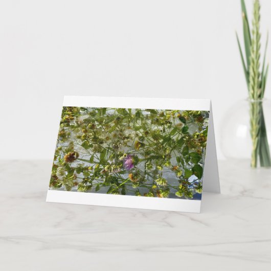 Eisdicken und Kleber, Karte (Vorderseite)