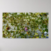 Eisdicken und Kleber, Poster (Vorne)