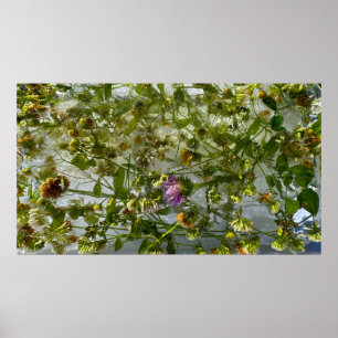 Eisdicken und Kleber, Poster