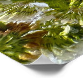 Eisdicken und Kleber, Poster (Ecke)