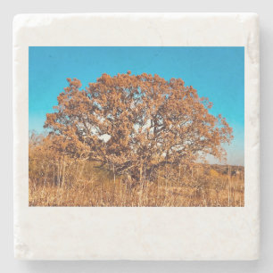 Eiseiche mit Fall Sonnenaufgang Glühstein Unterset Steinuntersetzer