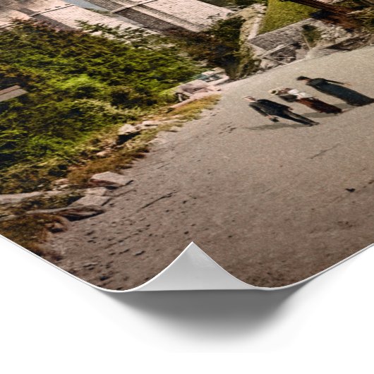 Eisenbahn Fayet-Chamonix - Fotochrom 1900 Poster (Ecke)