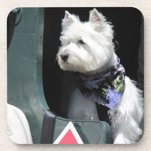Eisenbahn-Terrier-Hund Getränkeuntersetzer (Vorderseite)