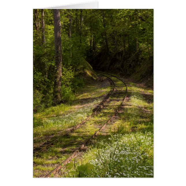 Eisenbahnverbot in einem Wald (Vorne)