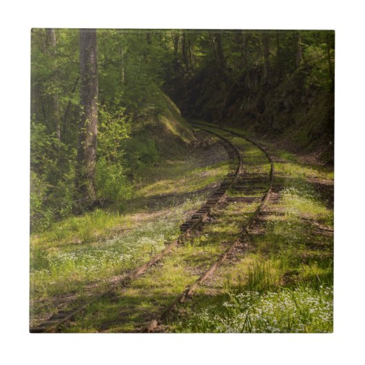 Eisenbahnverbot in einem Wald Fliese (Vorderseite)