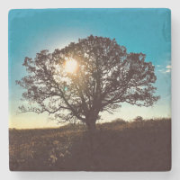 Eisenerz-Baum am Sonnenaufgang Untersetzer
