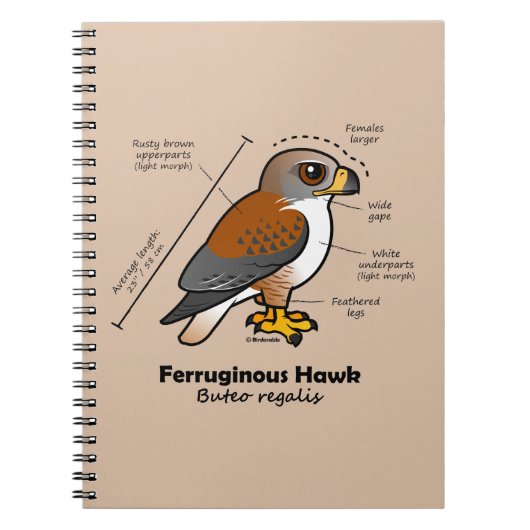 Eisenhaltige Falke-Statistiken Notizblock (Vorderseite)