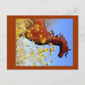 "Eisernes Pferd" Postkarte (Vorderseite)