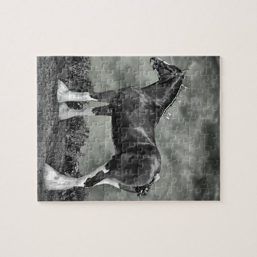 Eisernes Pferd Steele Puzzle (Horizontal)